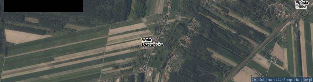 Zdjęcie satelitarne Wola Drzewiecka ul.